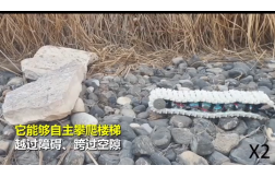 &#31859;&#20848;&#23448;&#26041;&#32593;&#39029;&#29256;&#45;&#31859;&#20848;&#77;&#105;&#76;&#97;&#110;&#40;&#20013;&#22269;&#41;